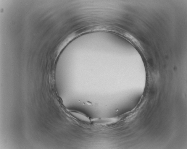 X0000066021097200603241529