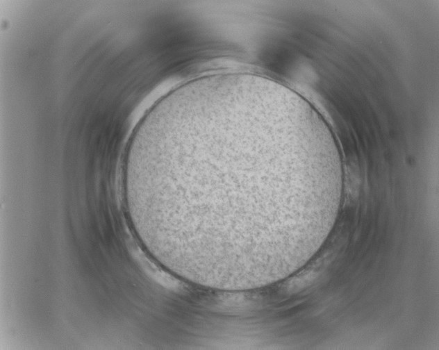 X0000066021098200603241529