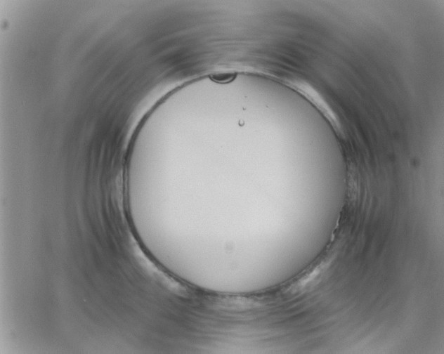 X0000066021100200603241529