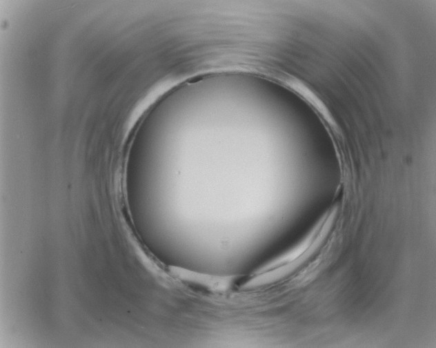 X0000066021101200603241529