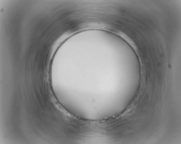 X0000066021104200603241529