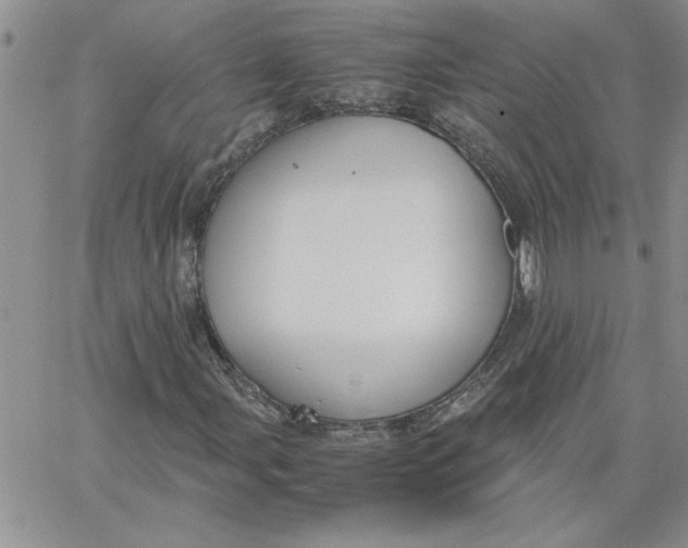 X0000066021107200603241528