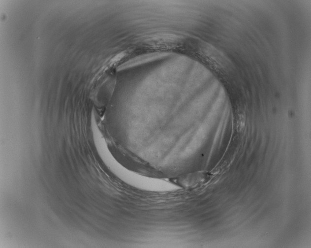 X0000066021108200603241528