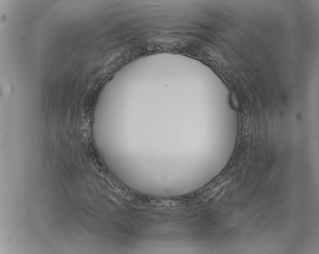 X0000066021109200603241528