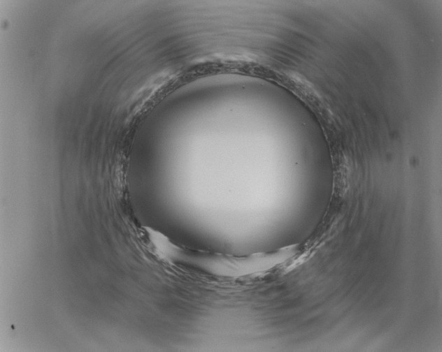 X0000066021110200603241528