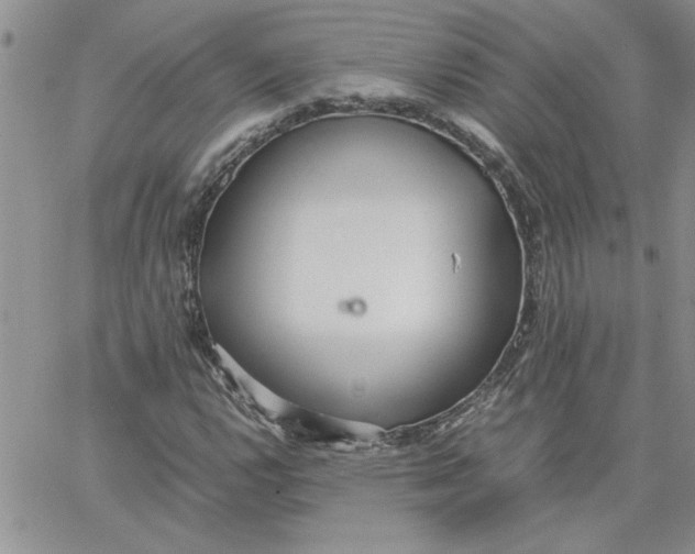 X0000066021112200603241528