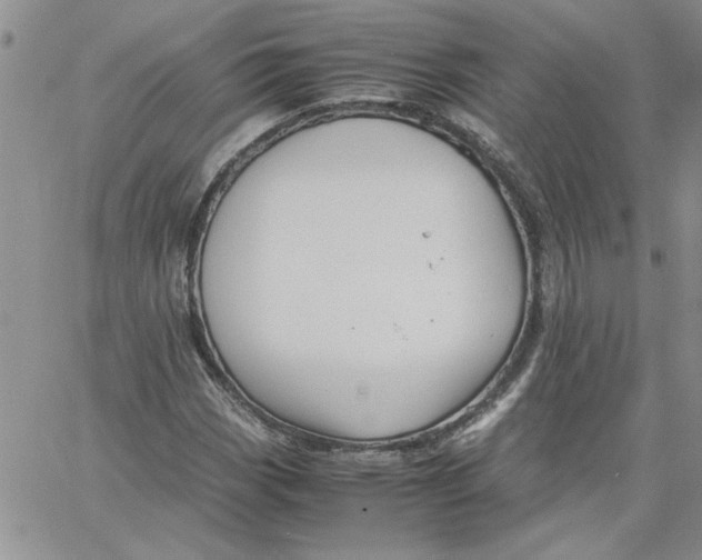 X0000066021113200603241528