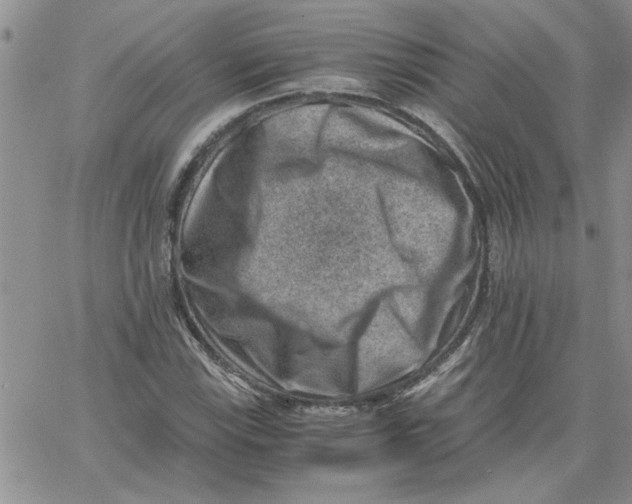 X0000066021115200603241528