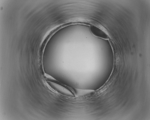 X0000066021116200603241528