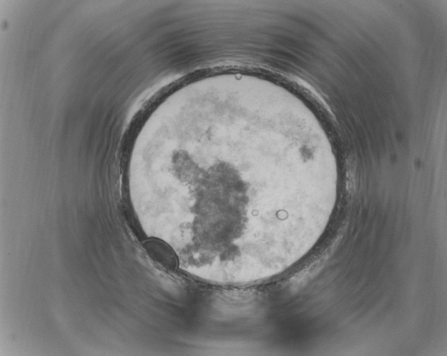 X0000066021117200603241528