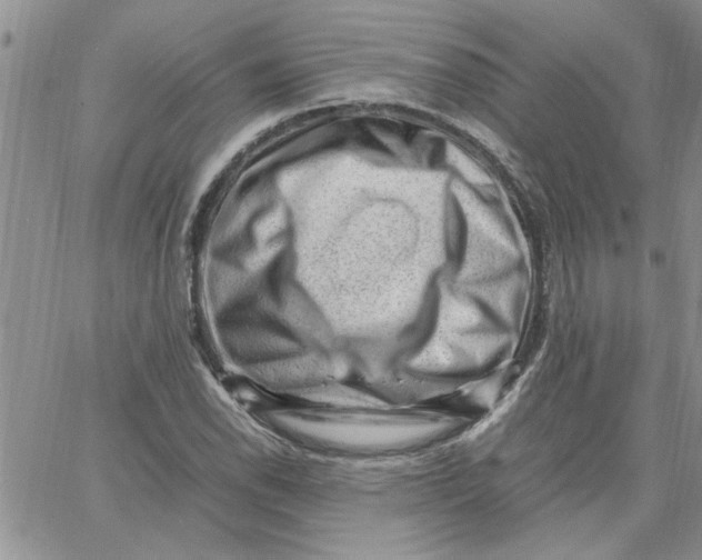 X0000066021118200603241528