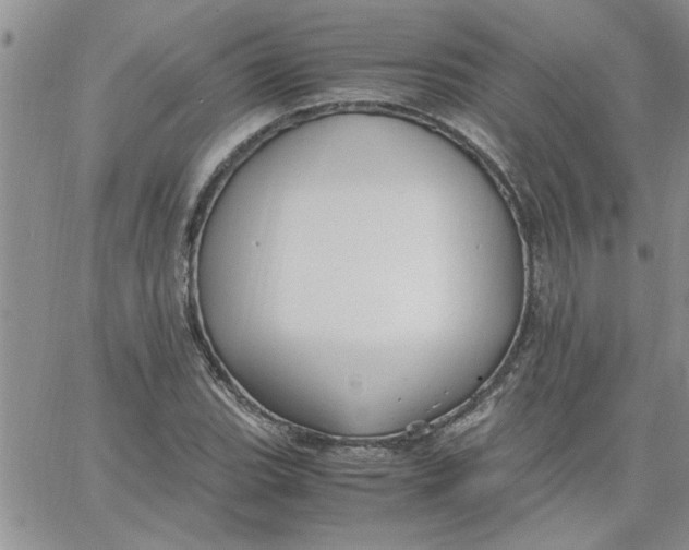 X0000066021119200603241528