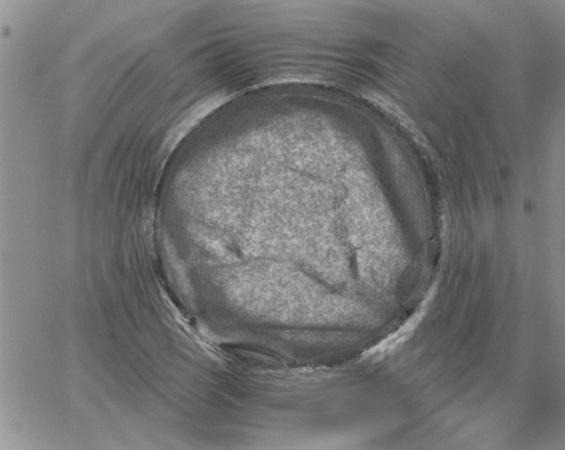 X0000066021121200603241528