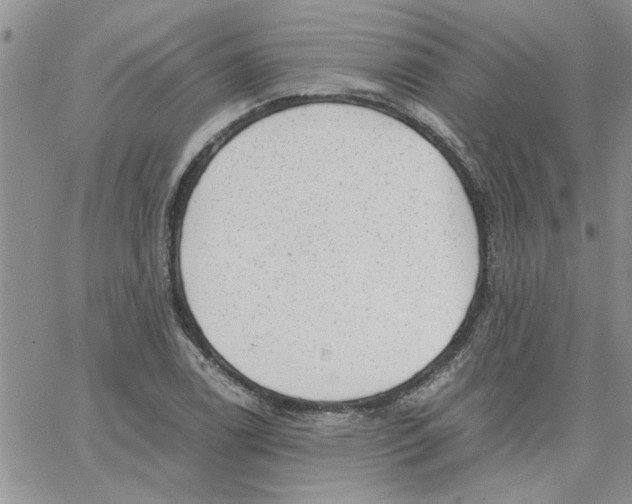 X0000066021122200603241528