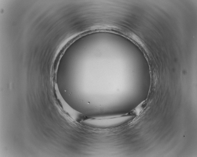 X0000066021124200603241528