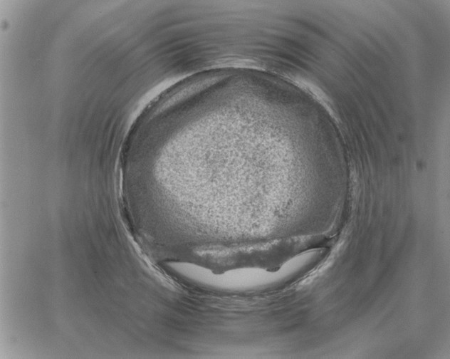 X0000066021125200603241528