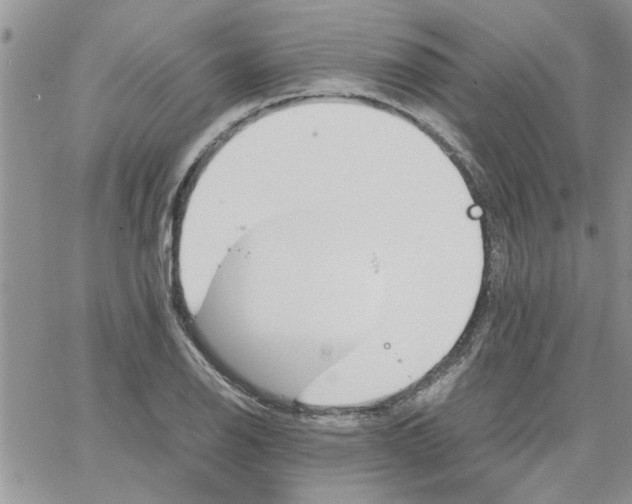 X0000066021126200603241528