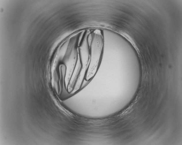 X0000066021128200603241528