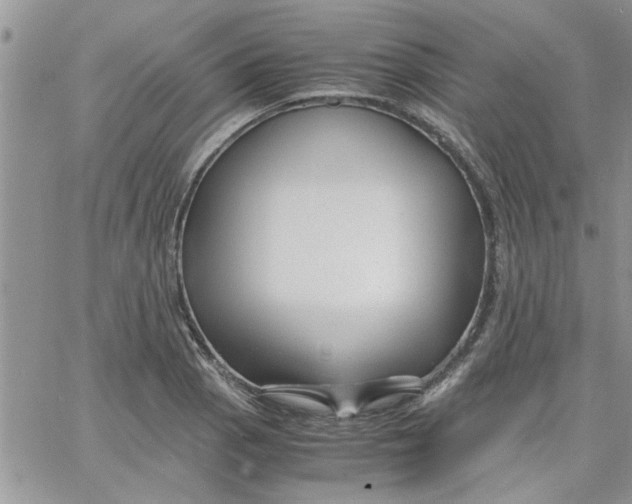 X0000066021129200603241528