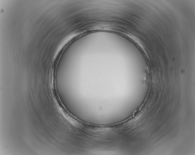 X0000066021131200603241528