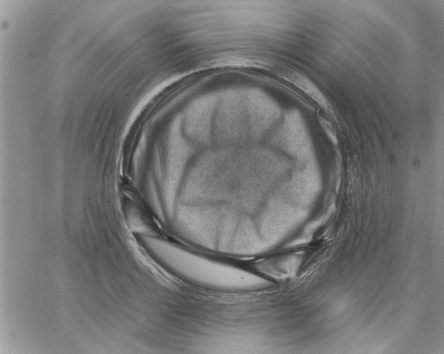 X0000066021132200603241528