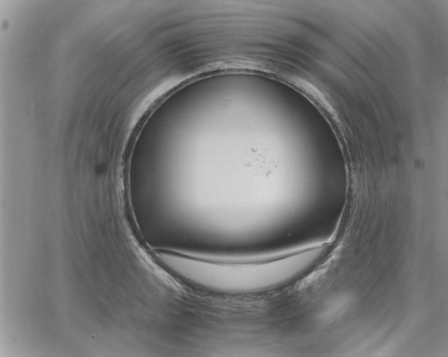 X0000066021133200603241528