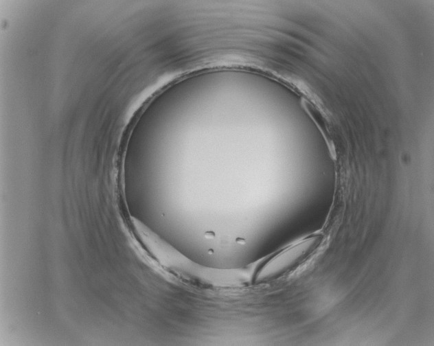 X0000066021134200603241528