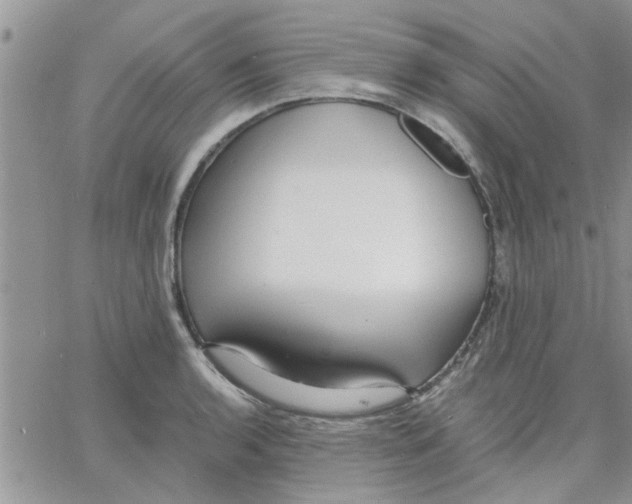 X0000066021136200603241528