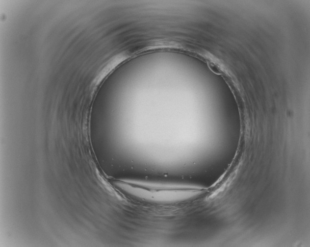 X0000066021137200603241528