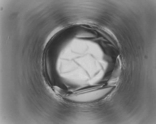 X0000066021138200603241528