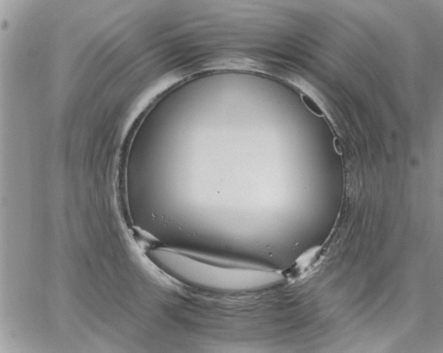 X0000066021139200603241528