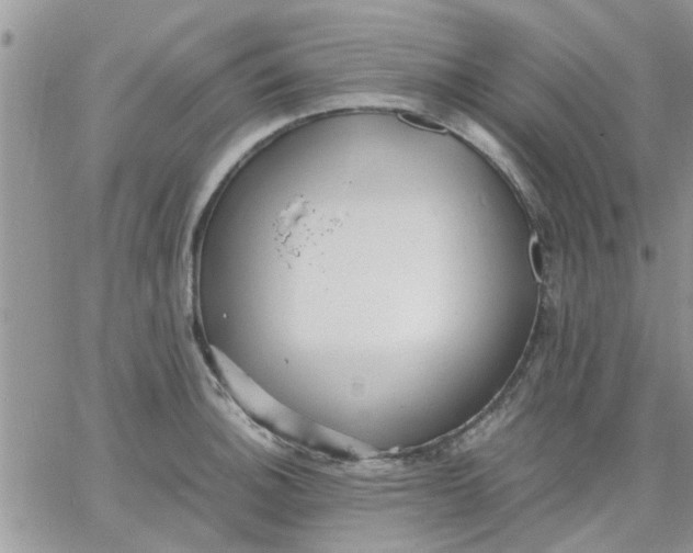 X0000066021140200603241528