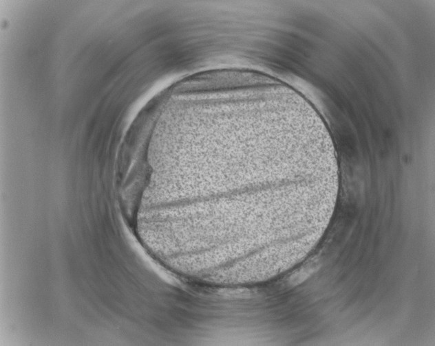 X0000066021142200603241528