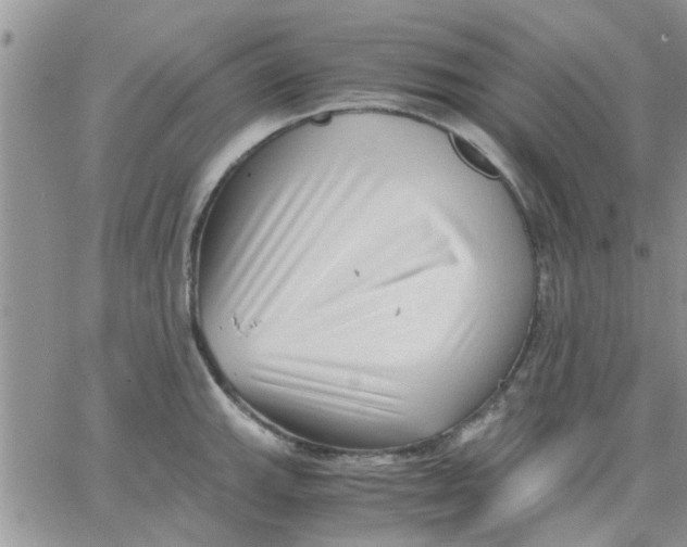 X0000066021143200603241528