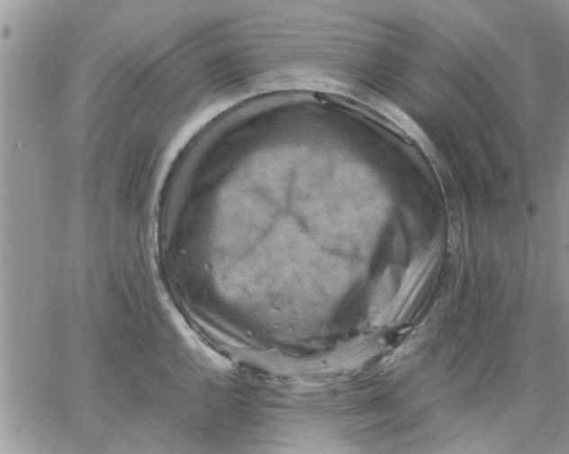 X0000066021144200603241529