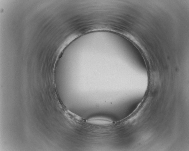 X0000066021145200603241529