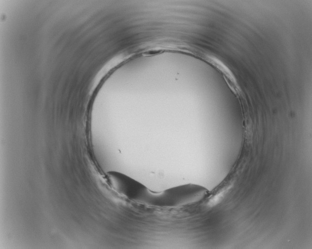 X0000066021146200603241529