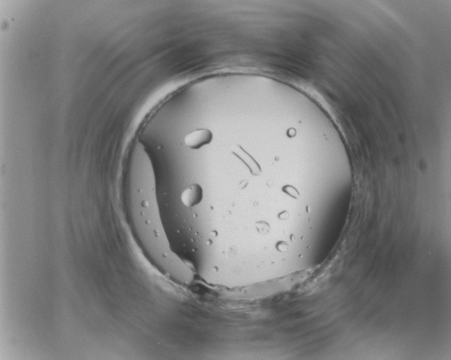 X0000066021147200603241529