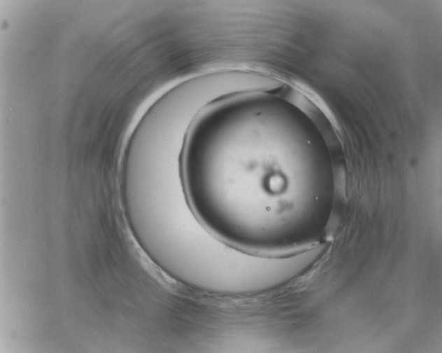 X0000066021148200603241529