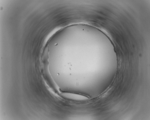 X0000066021151200603241529