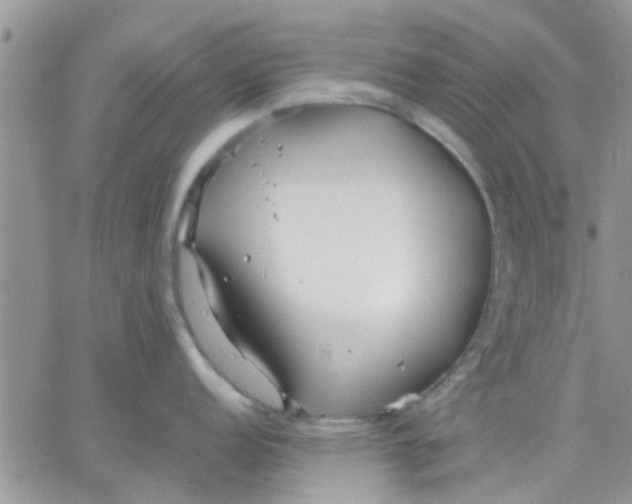 X0000066021152200603241529