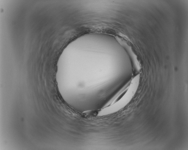 X0000066021153200603241528