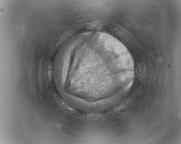 X0000066021154200603241528