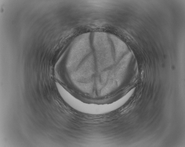 X0000066021156200603241528