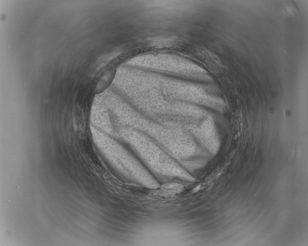 X0000066021158200603241528