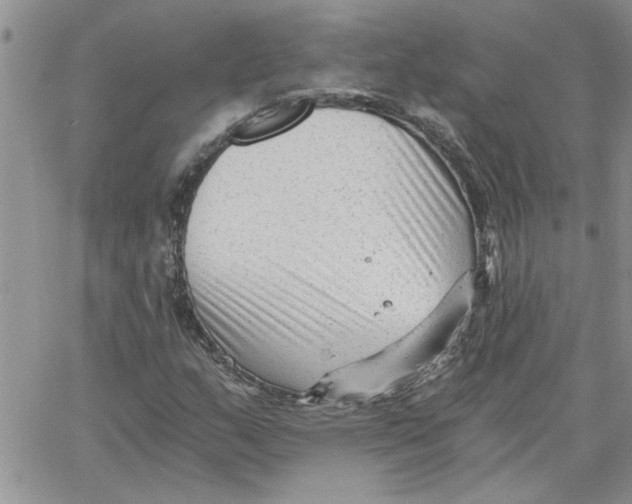 X0000066021159200603241528