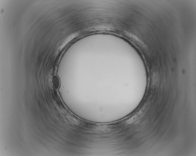 X0000066021162200603241528