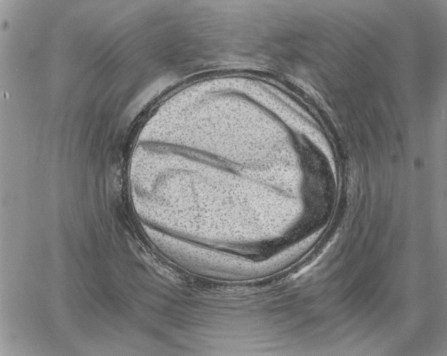 X0000066021163200603241528