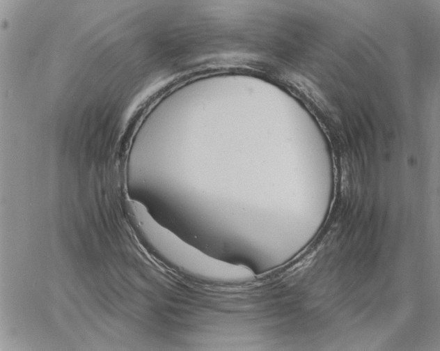 X0000066021164200603241528