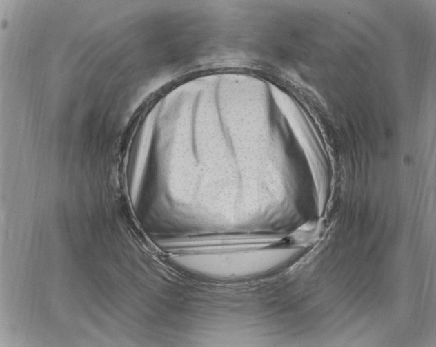 X0000066021166200603241528